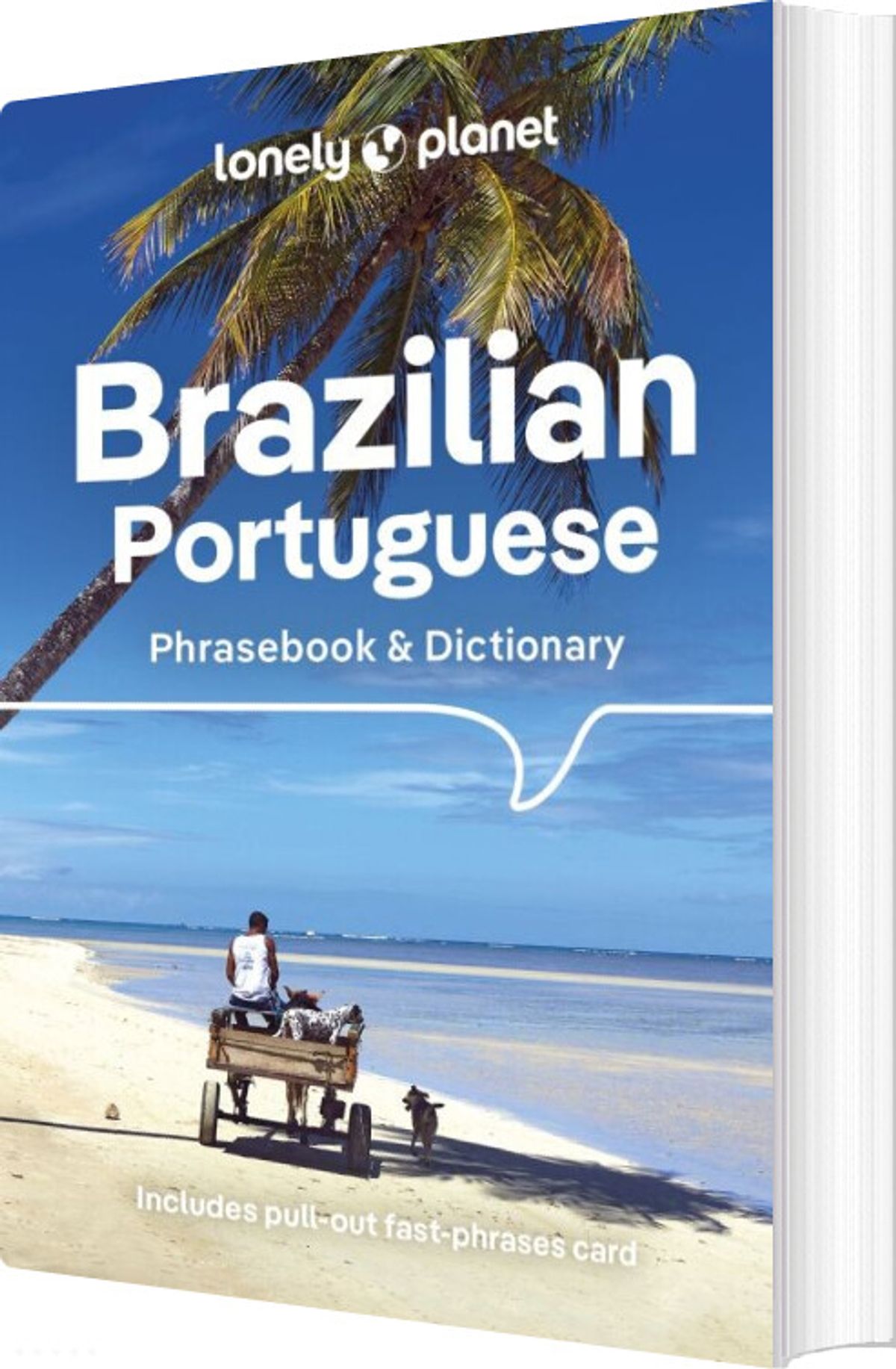 Brazilian Portuguese Phrasebook & Dictionary - Diverse - English Book