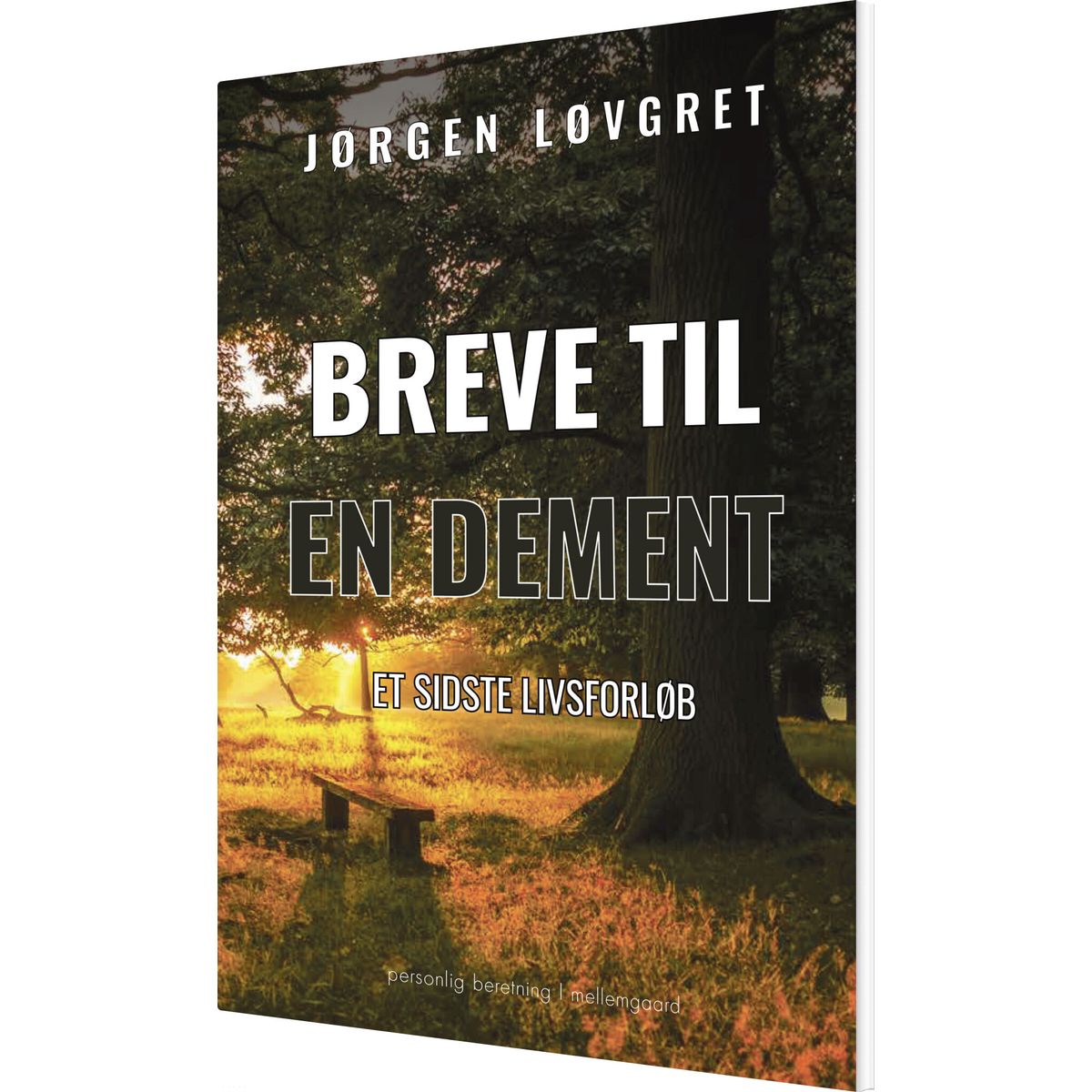 Breve Til En Dement - Jørgen Løvgret - Bog