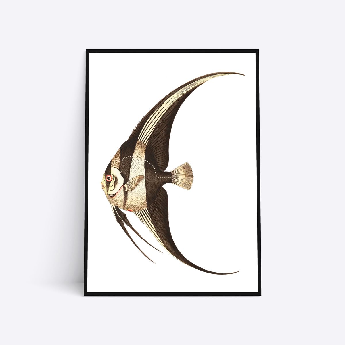 Brown Fish - 30x40 cm