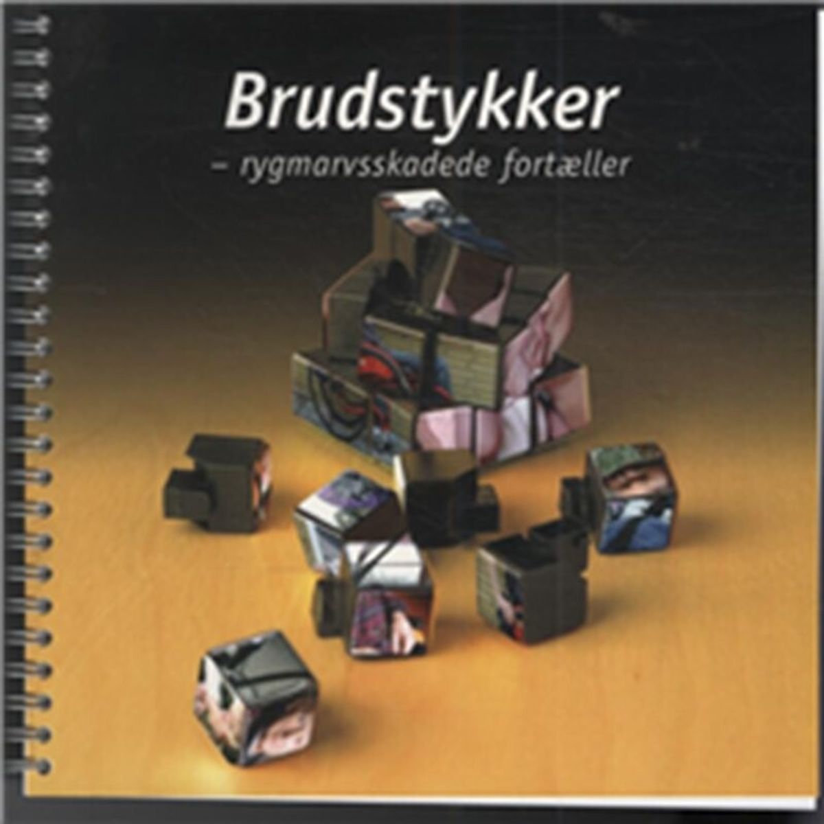 Brudstykker - Anders J. Andersen - Bog