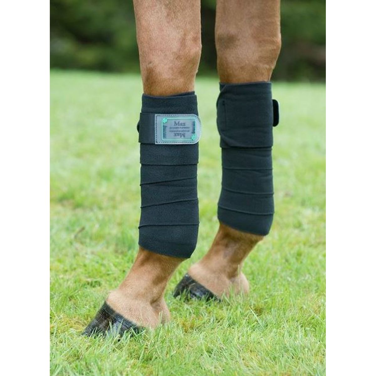 Bucas Freedom Bandage | Sort