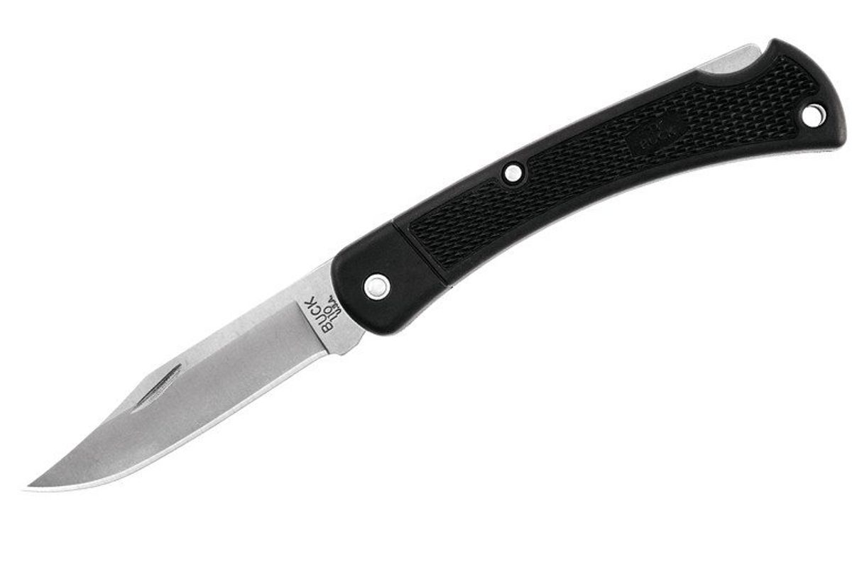 Buck 110 Folding Hunter LT