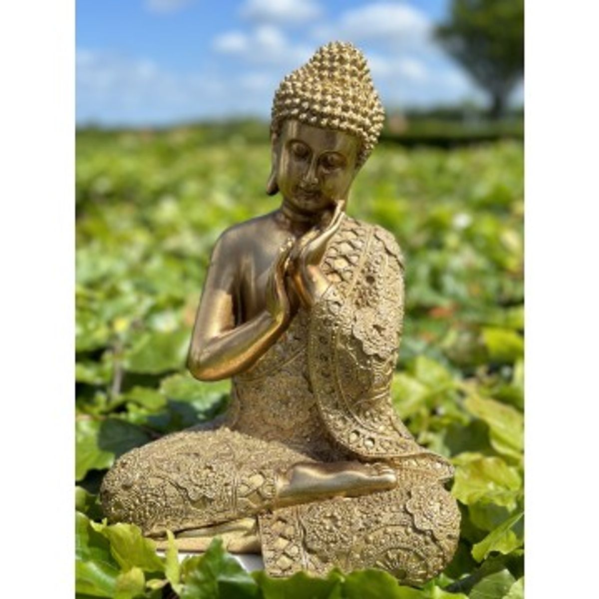 Buddha - Ro - Buddha statuer generelt - GodKarmaShop