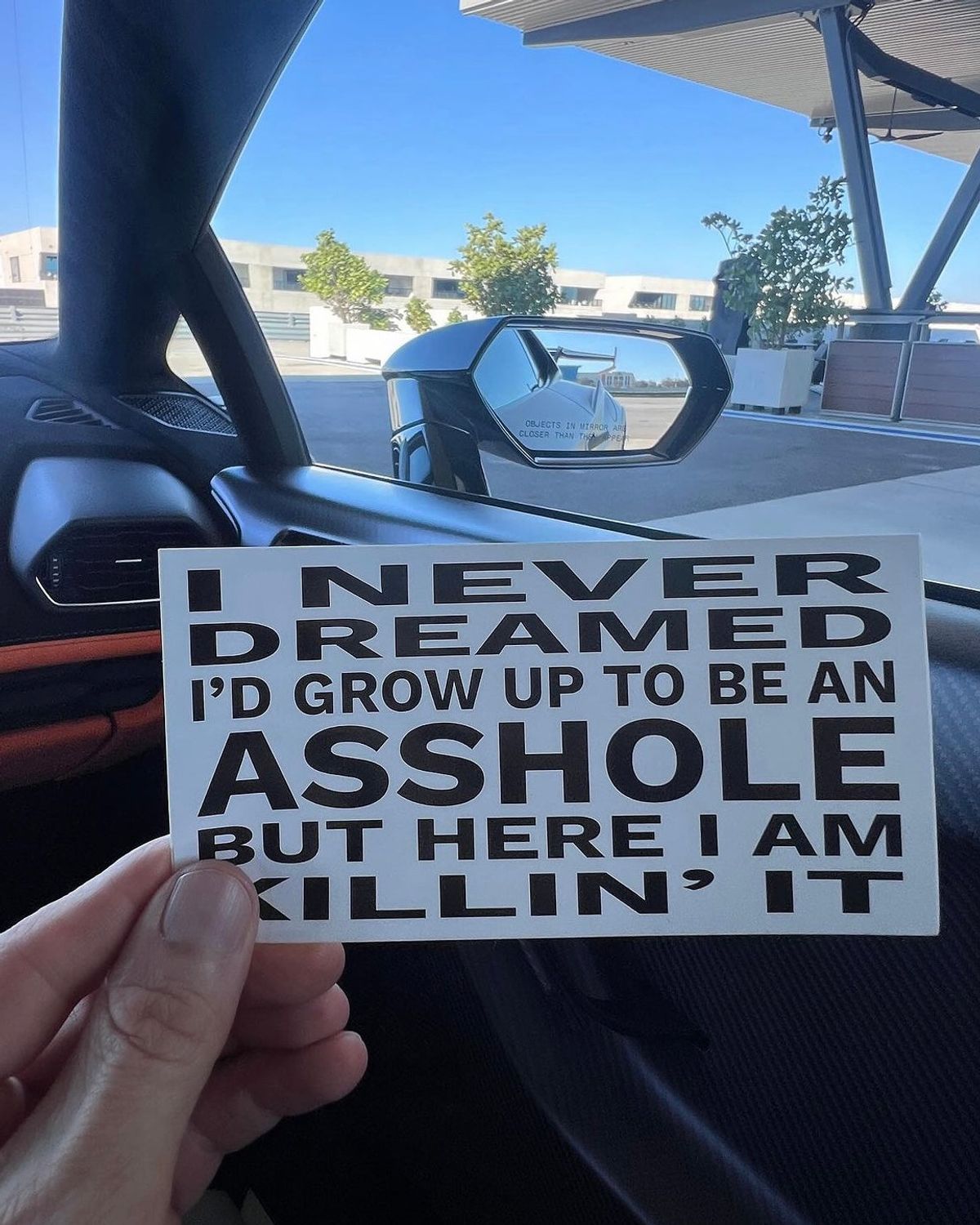 BUMPER STICKERS - Dreamer 15x8 cm