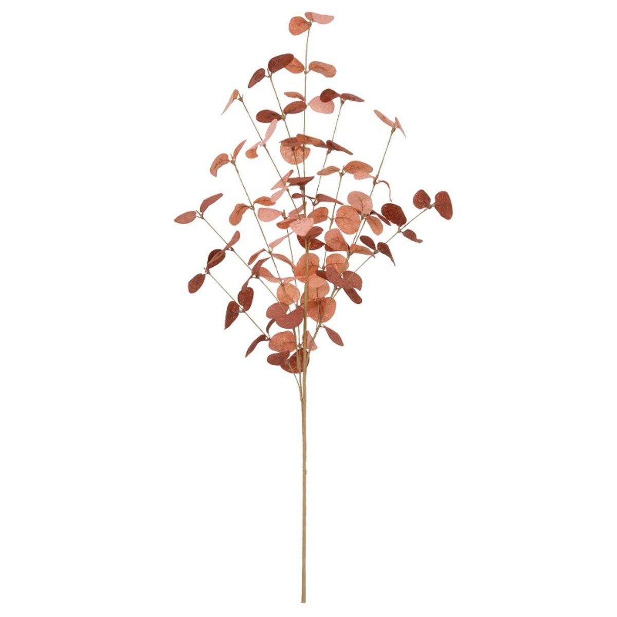 Bungalow Eucalyptus - 70 cm - Cerise