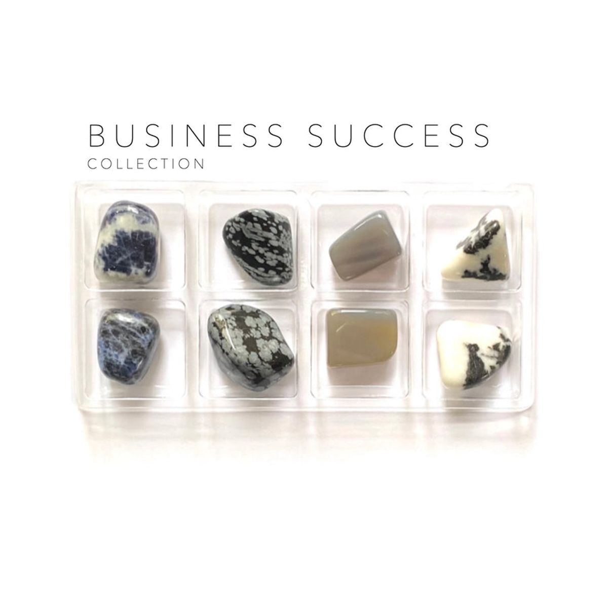 BUSINESS SUCCESS - KRYSTAL KIT - - CRYSTAL GRIDS - StudioBuus