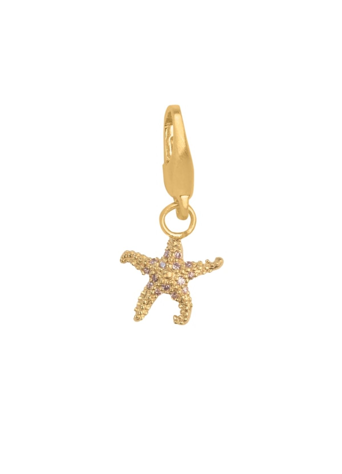 byBiehl Starfish Forgyldt Metalblanding Charm