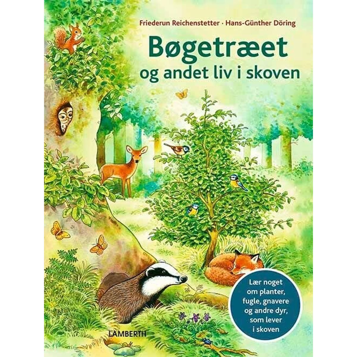 Bøgetræet Og Andet Liv I Skoven - Friederun Reichenstetter - Bog