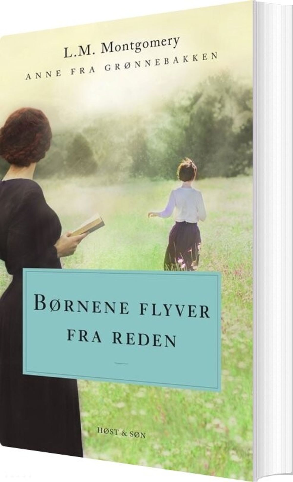 Børnene Flyver Fra Reden. Anne Fra Grønnebakken 8 - L.m. Montgomery - Bog