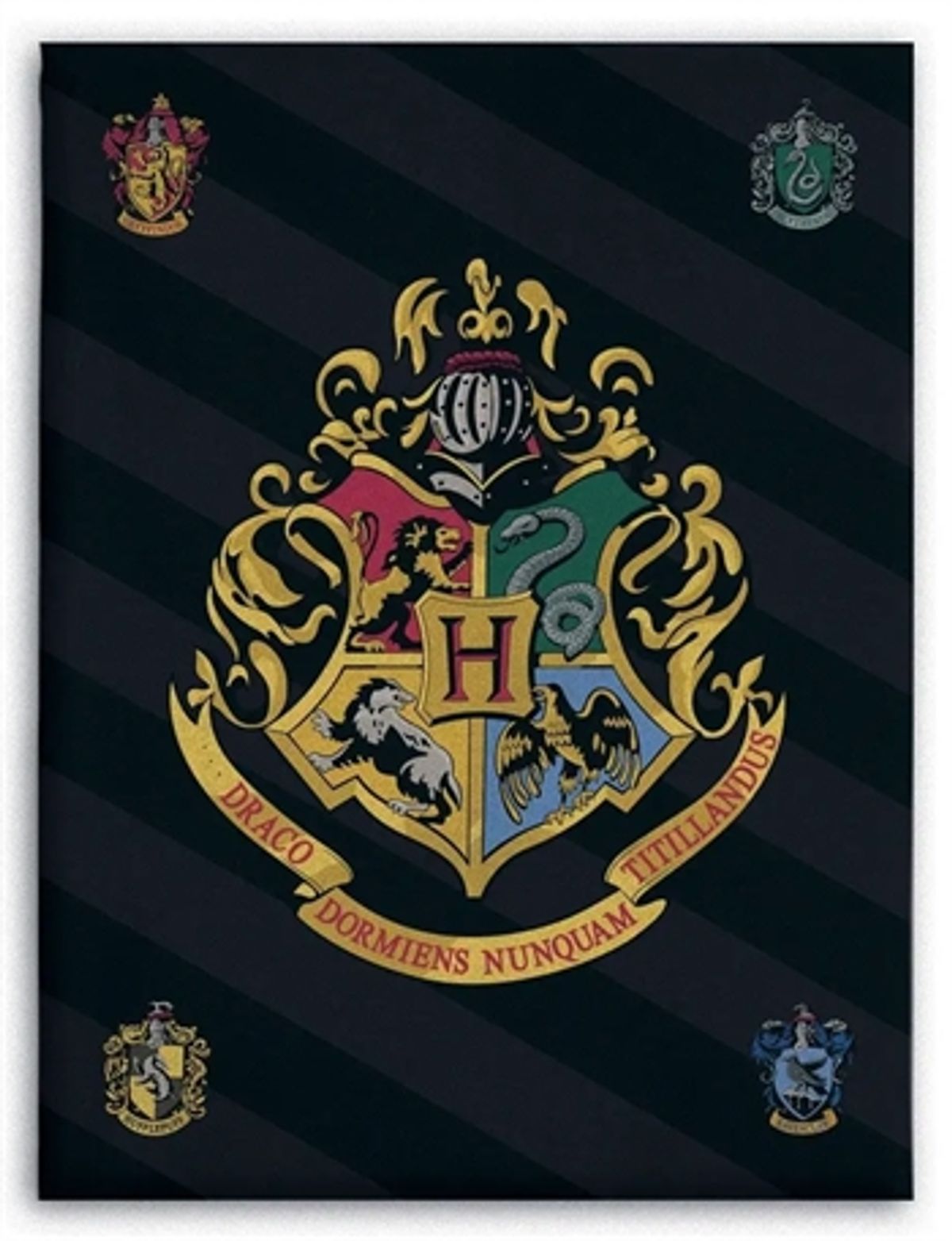 Børnetæppe - Harry Potter - 100x140 cm - Blødt og lækkert Fleece tæppe - Borg Living