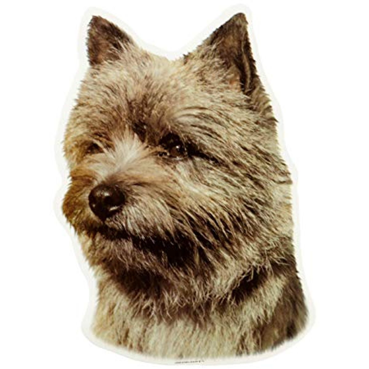 Cairn Terrier, brun, hv. Vælg: klistermærke, nøglering, mm.