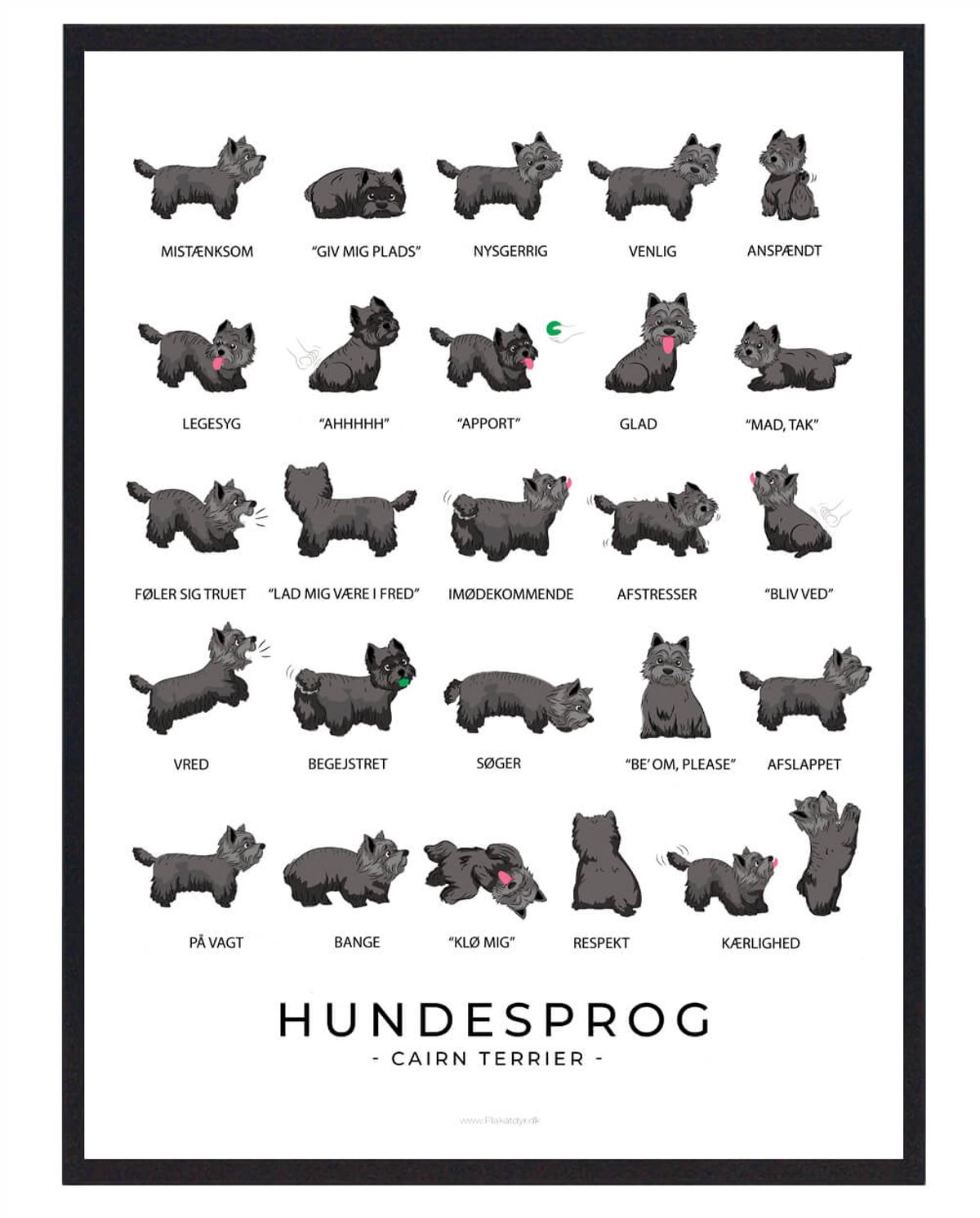 Cairn Terrier - Sort hundesprog plakat (Størrelse: L - 50x70cm (B2))