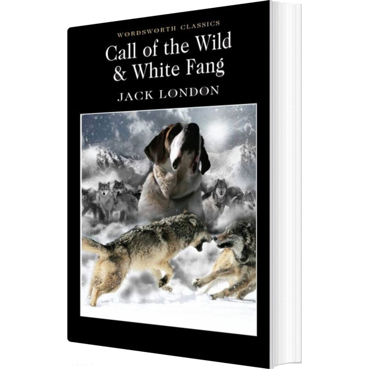 Call Of The Wild & White Fang - Wordsworth Classics - Jack London - English Book