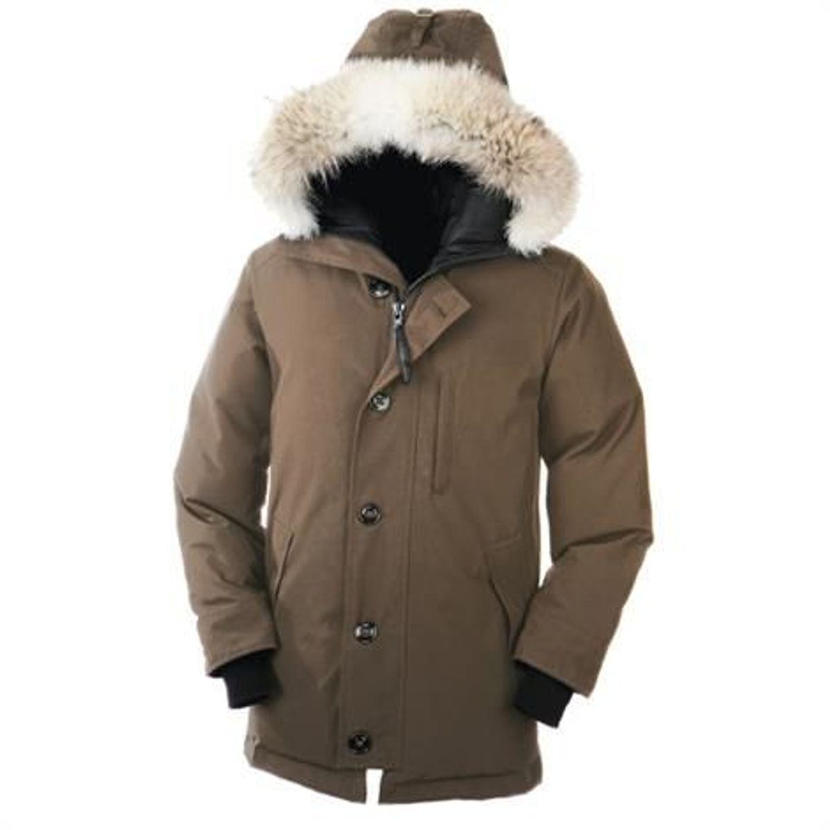 Canada Goose Mens The Chateau Jacket, Tan