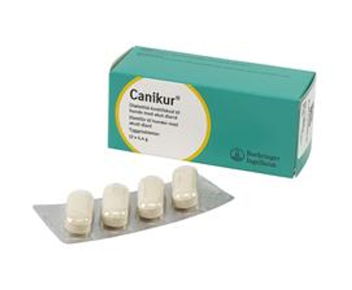 Canikur 12 tabletter.