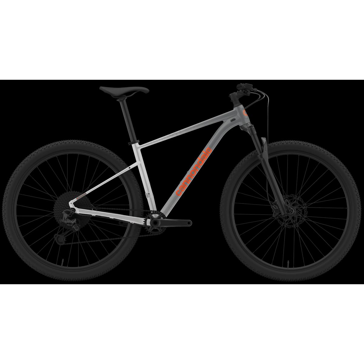 Cannondale Trail SL 1 2023 - Grå