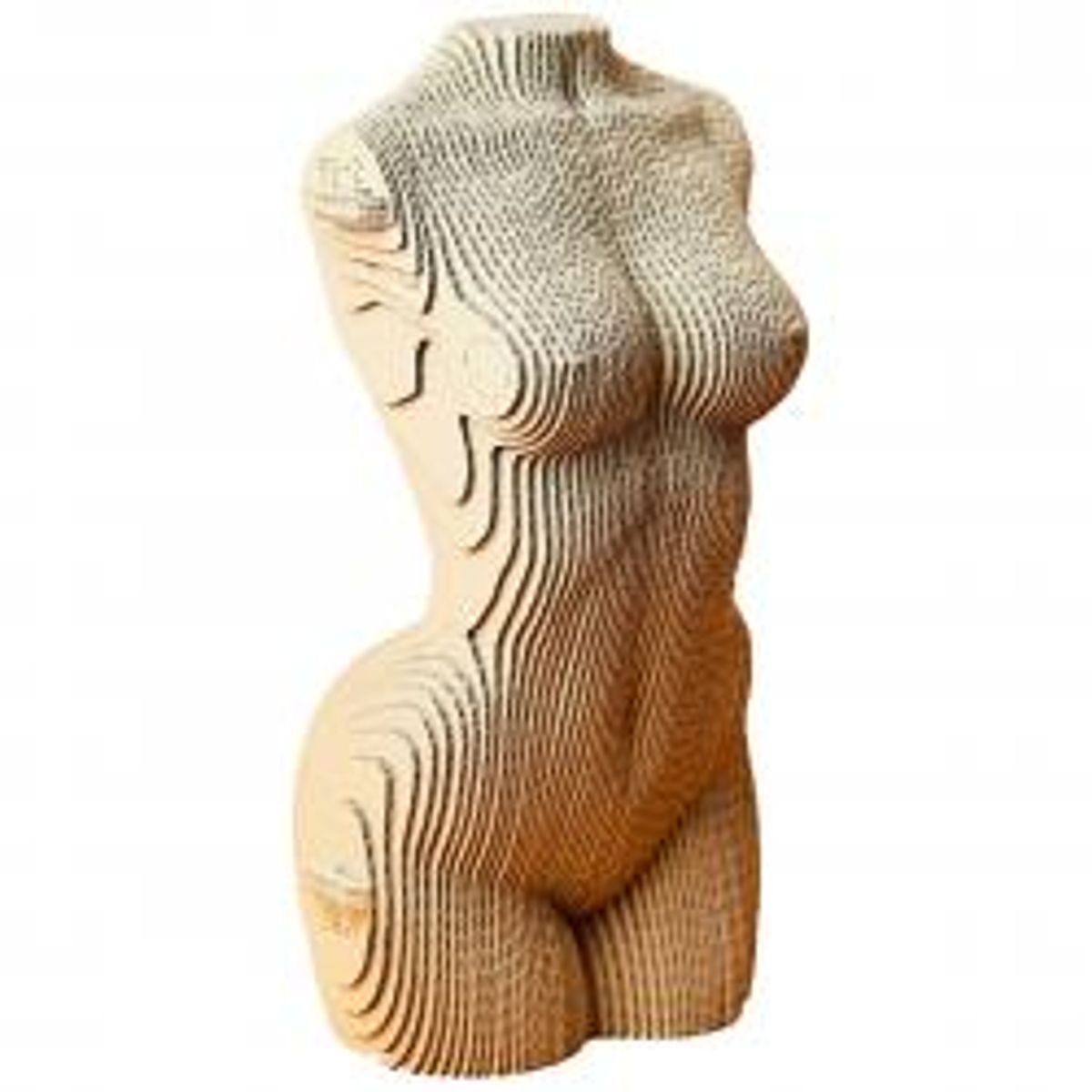 Cartonic 3D Puzzle FEMALE TORSO - Puslespil