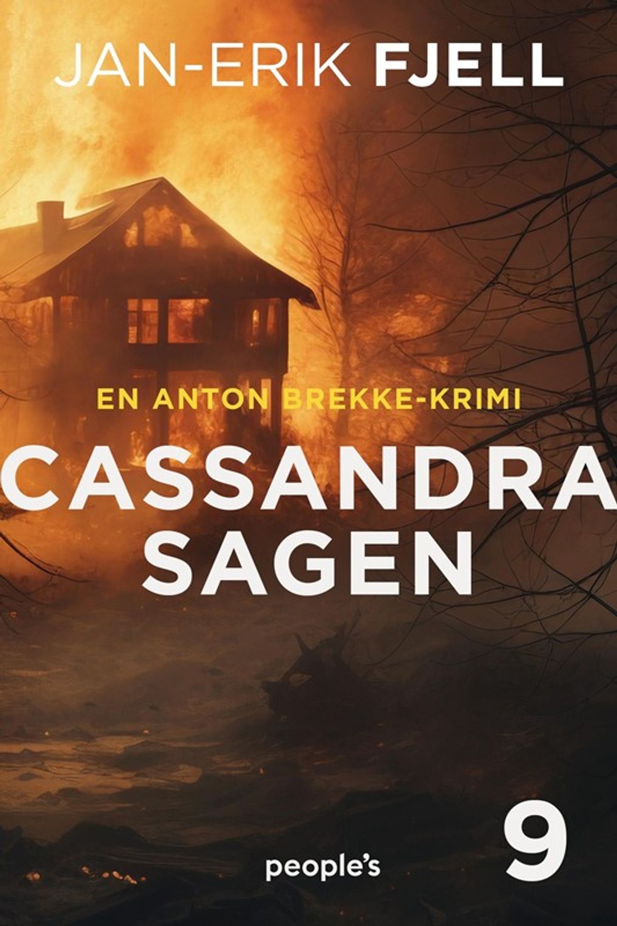 Cassandra-sagen