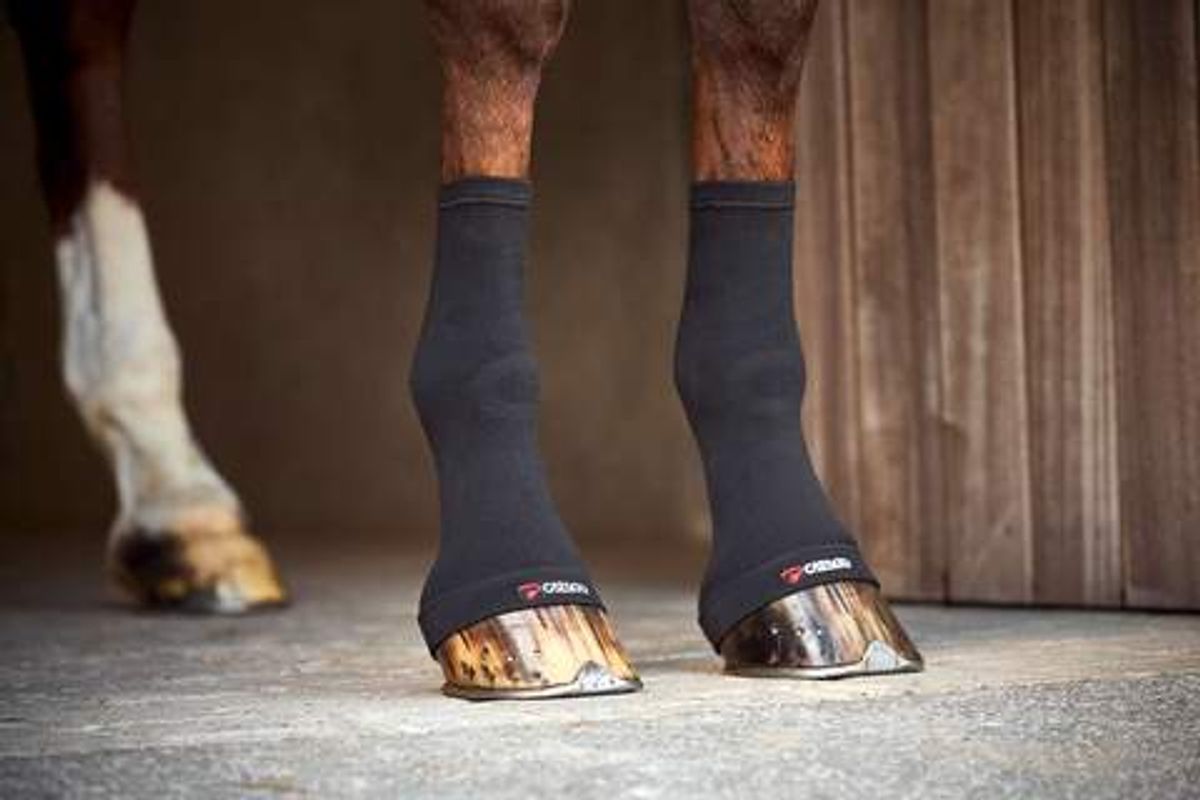 Catago Fir-Tech Hoof Socks