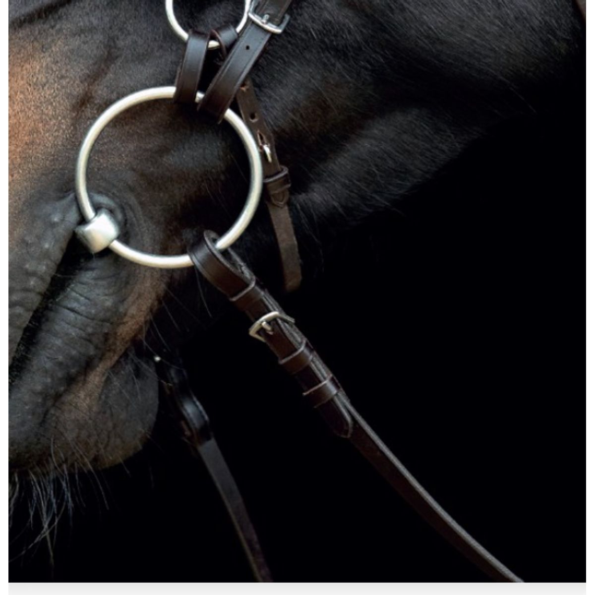 Catago Gentle Bridle Hagerem - COB - BRUN