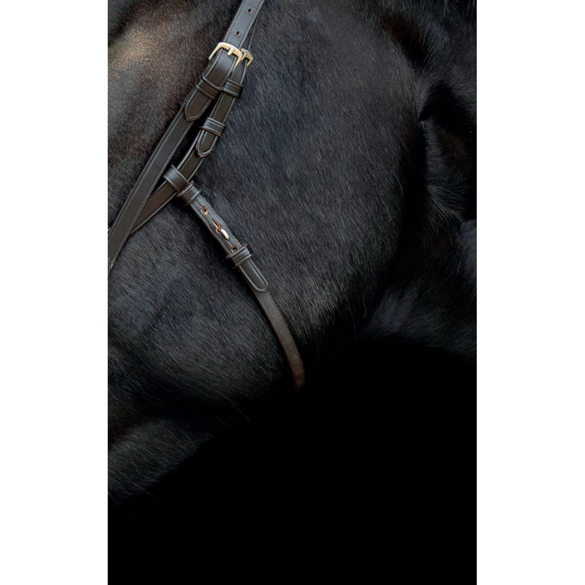 Catago Gentle Bridle Miderste Kæberem - COB - BRUN