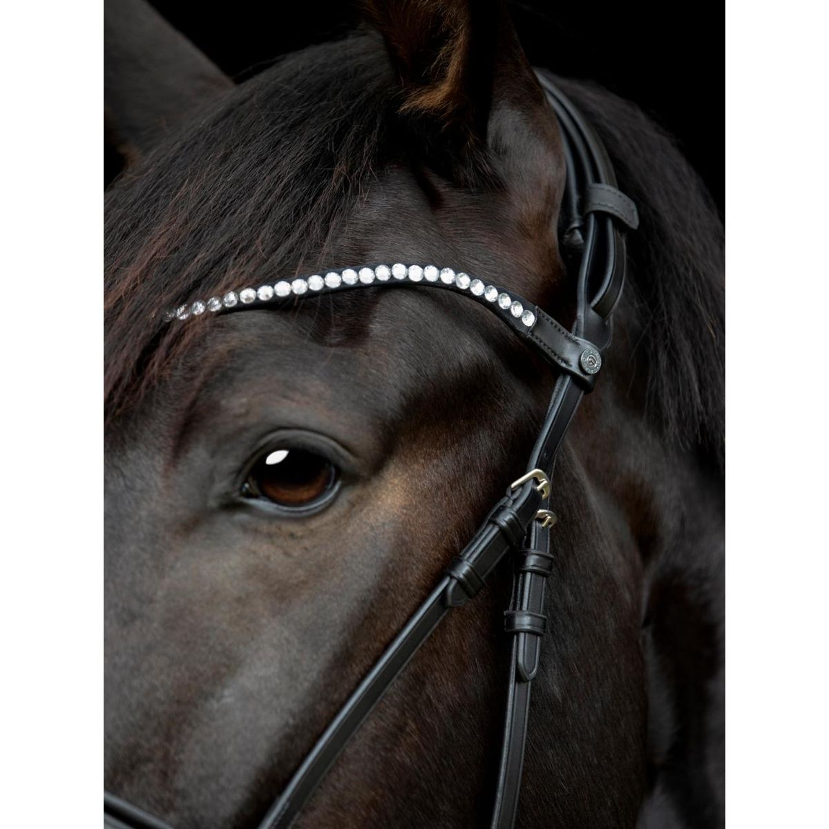 Catago Gentle Bridle Pandebånd - FULL - SORT