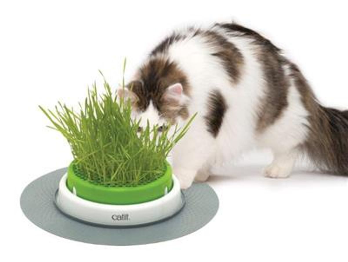 Catit Senses 2.0 Grass Garden Kit / græsdispenser