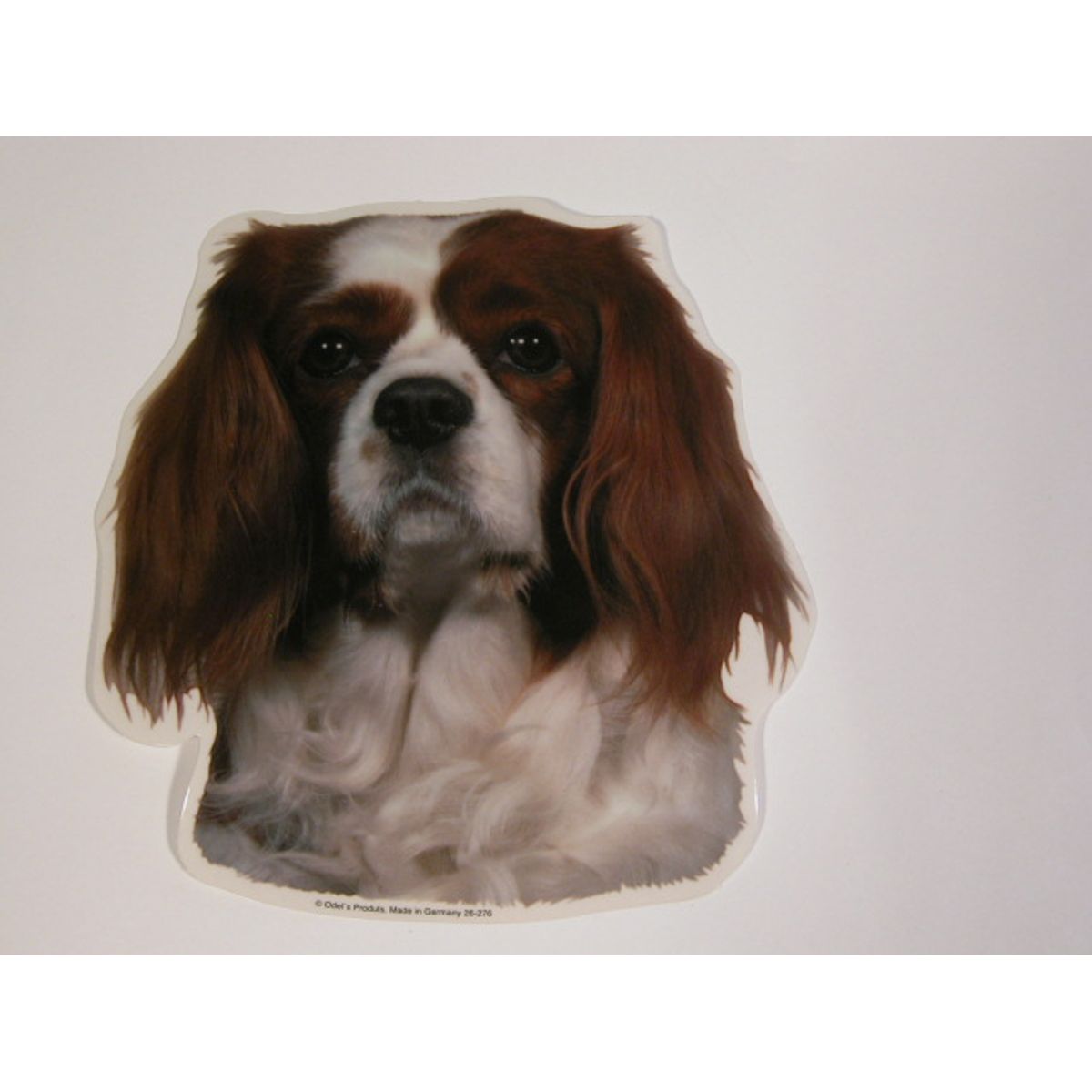 Cavalier King Charles Spaniel, Rød/Brun, hv. Vælg: klistermærke, nøglering, broche, slipsenål, mm.