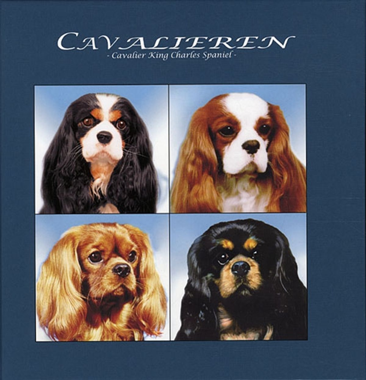 Cavalieren