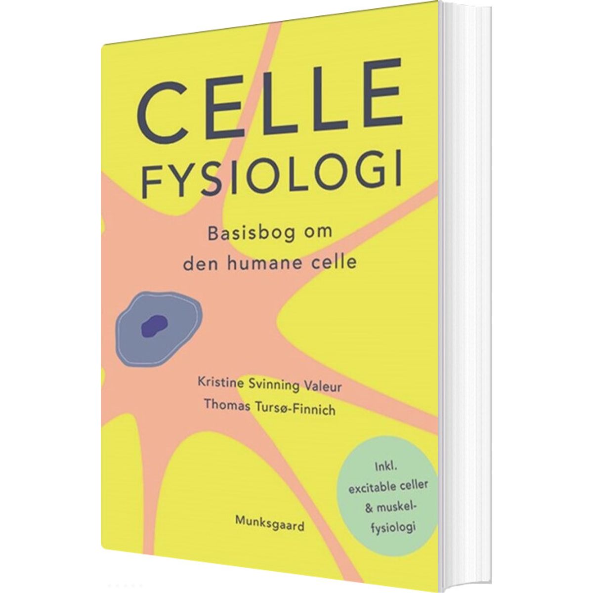 Cellefysiologi - Kristine Svinning Valeur - Bog