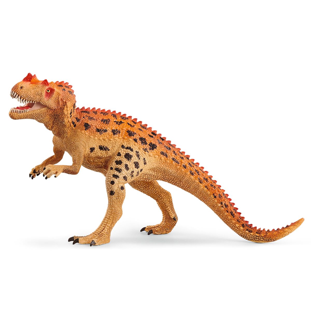 Ceratosaurus (One size)