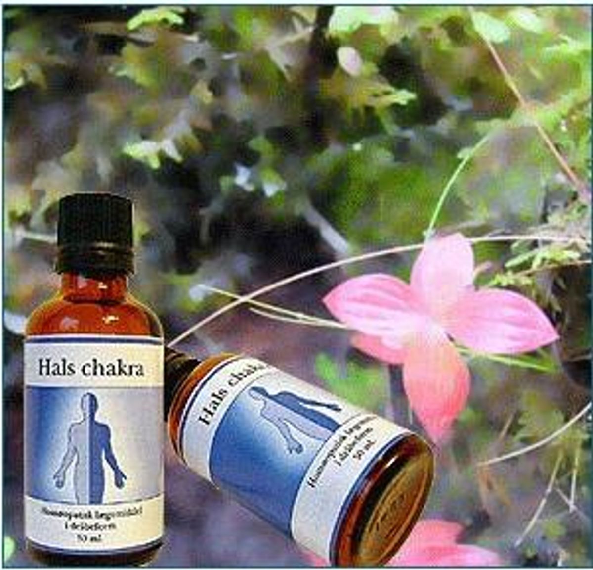 Chakra hals, 50ml.