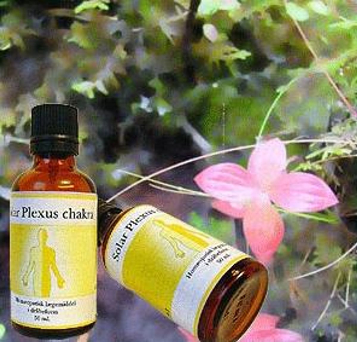 Chakra Solar Plexus, 50ml.