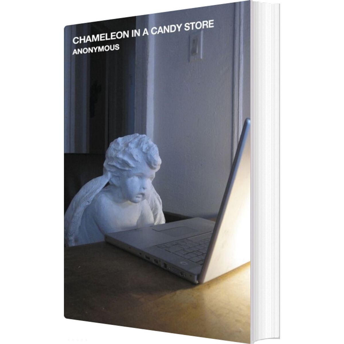 Chameleon In A Candy Store - Anonymous - English Book