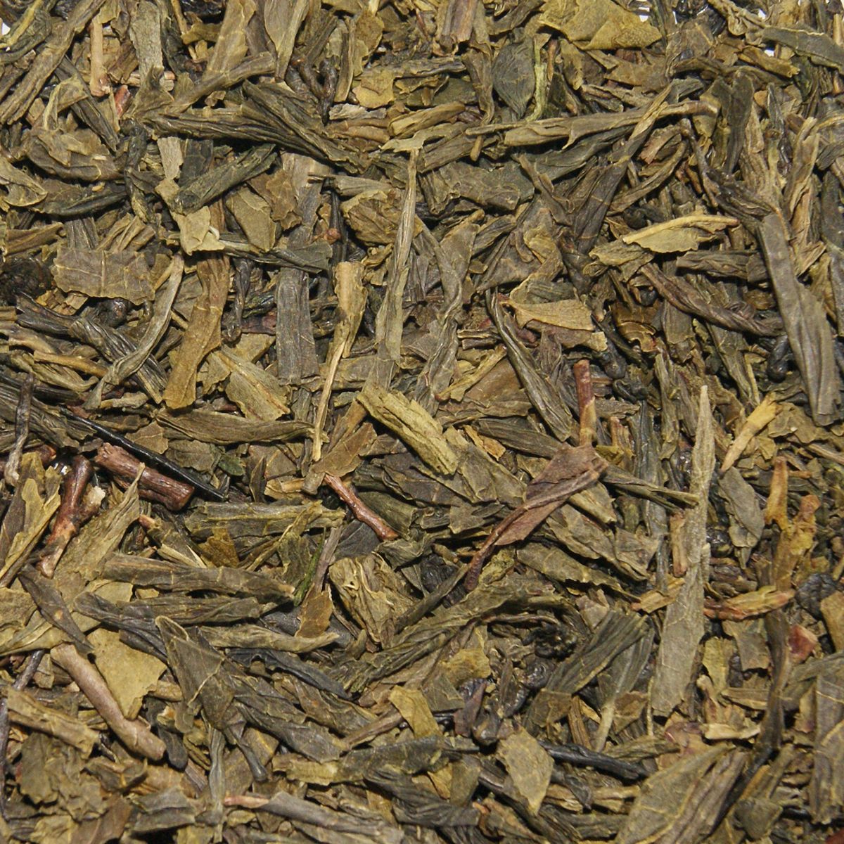 China Grøn Sencha Te 500 g