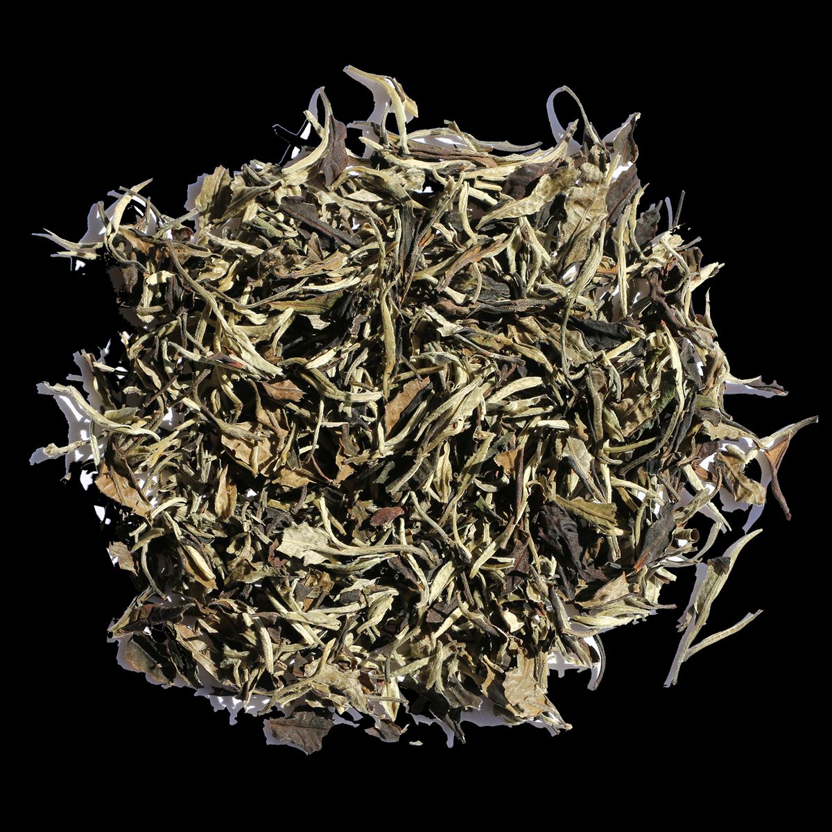 China Moonlight white tea, hvid te økologisk 500g