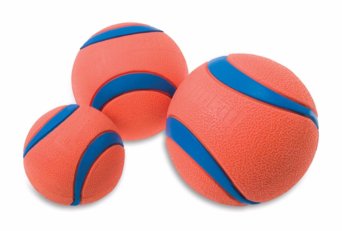 Chuckit Ultra Ball / Bold.