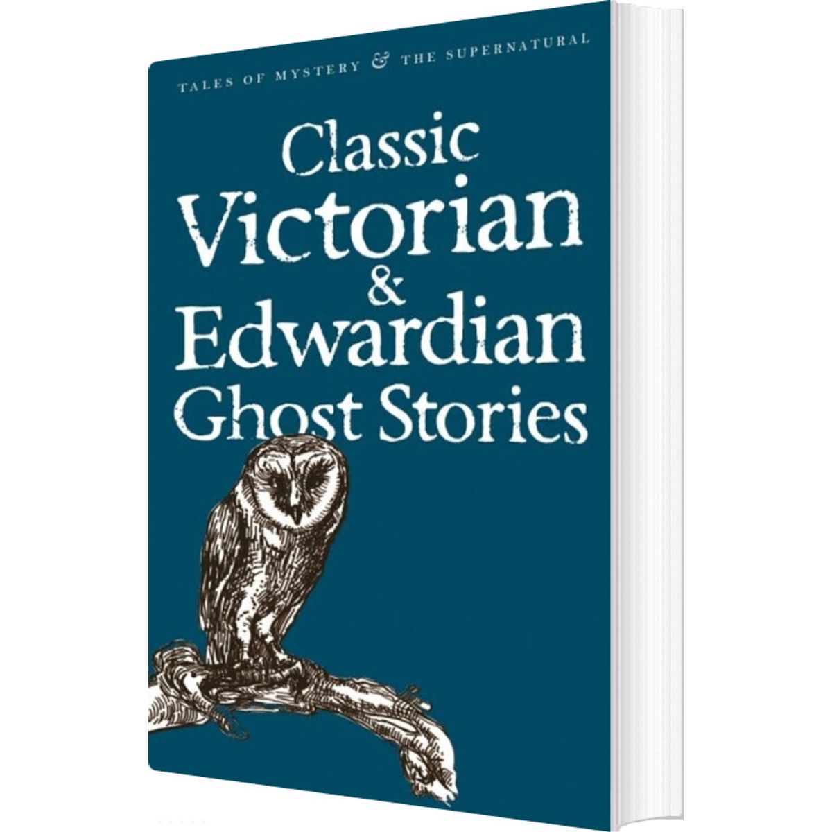 Classic Victorian & Edwardian Ghost Stories - Rex Collings - English Book