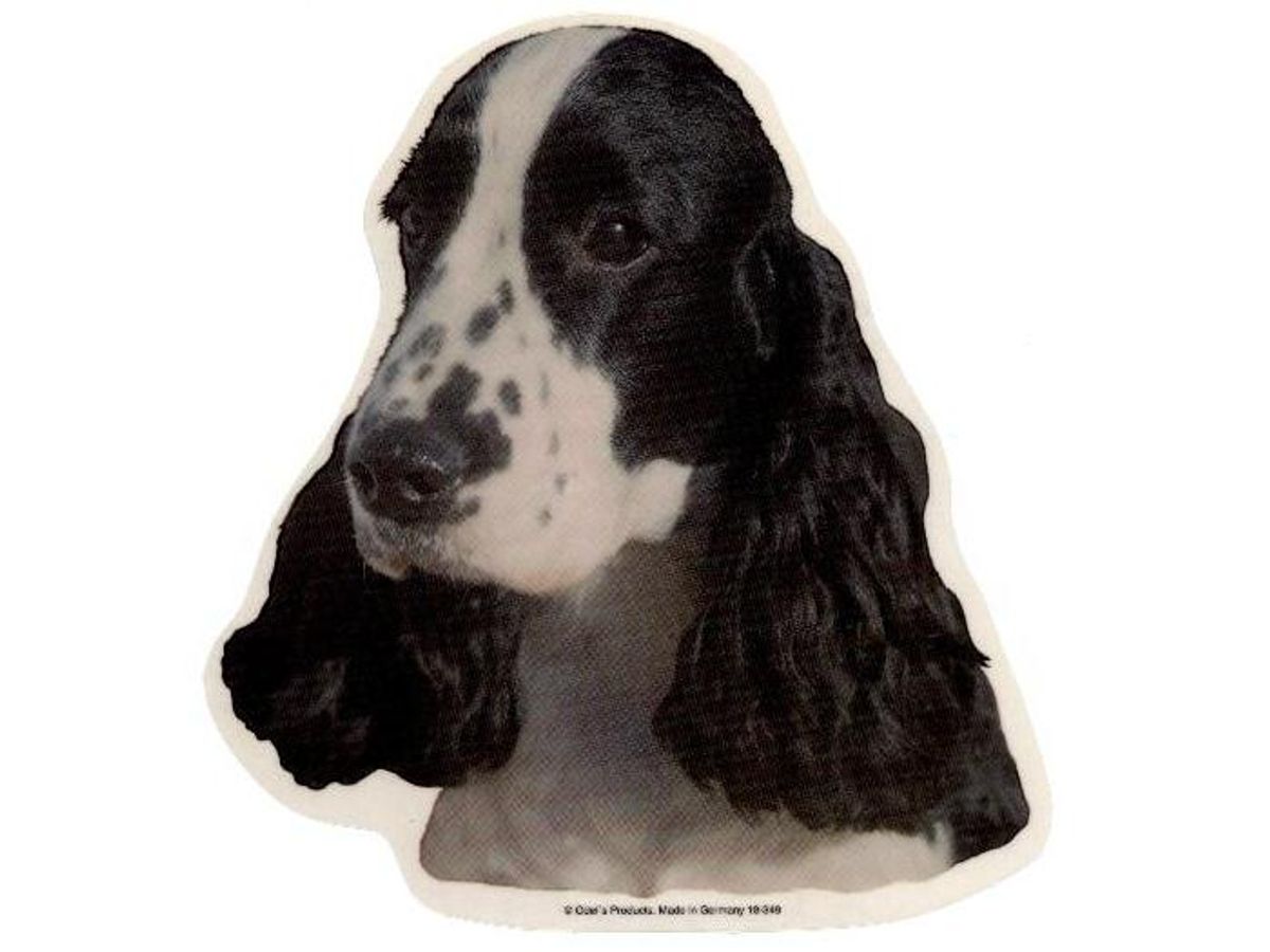 Cocker Spaniel, sort/hvid, hv. Vælg: klistermærke, nøglering, broche, slipsenål, mm.