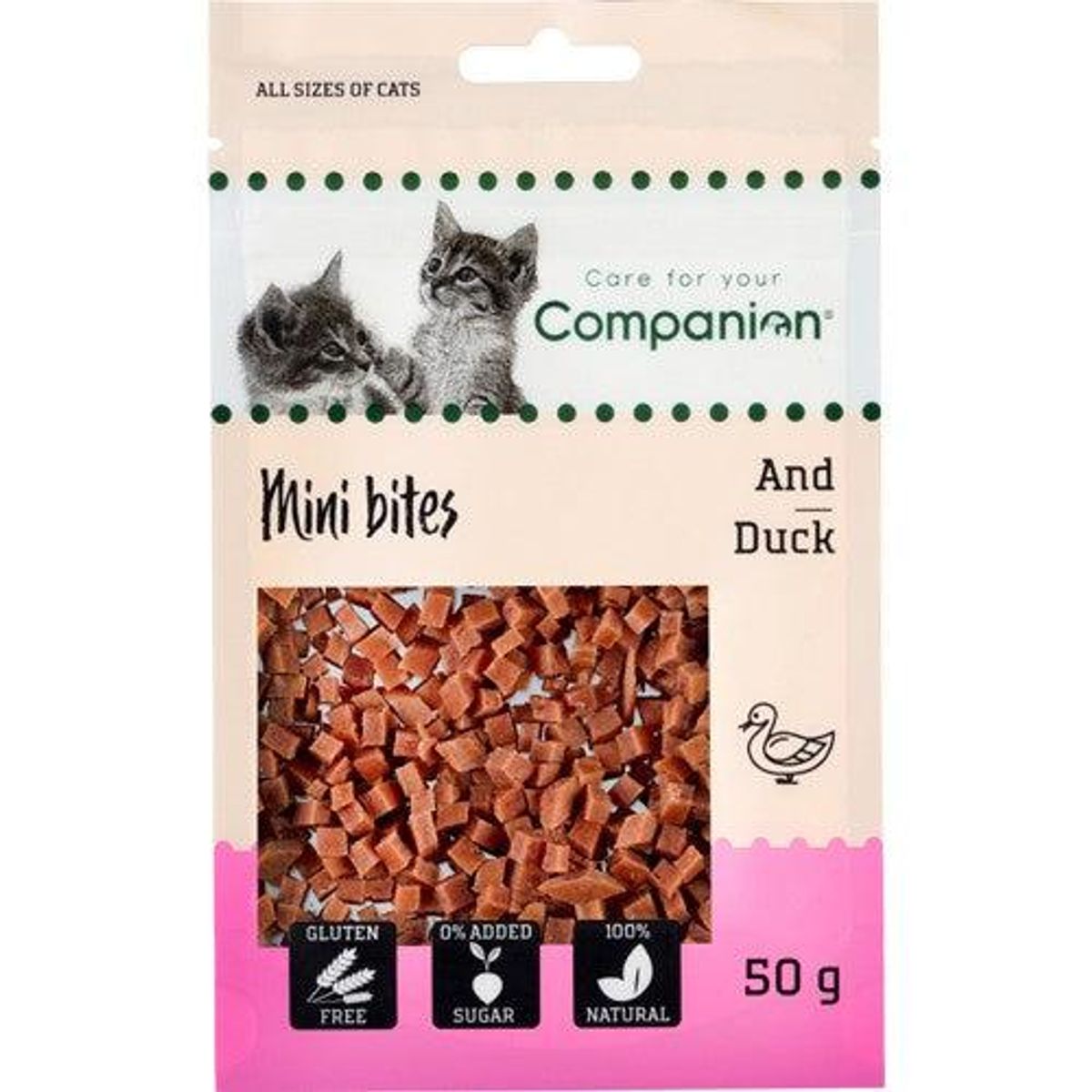 COMPANION DUCK CUBES