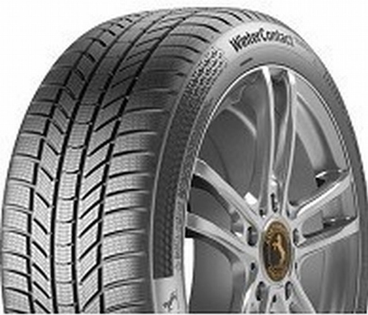 Continental WINTER TS 870 P 205/50R17