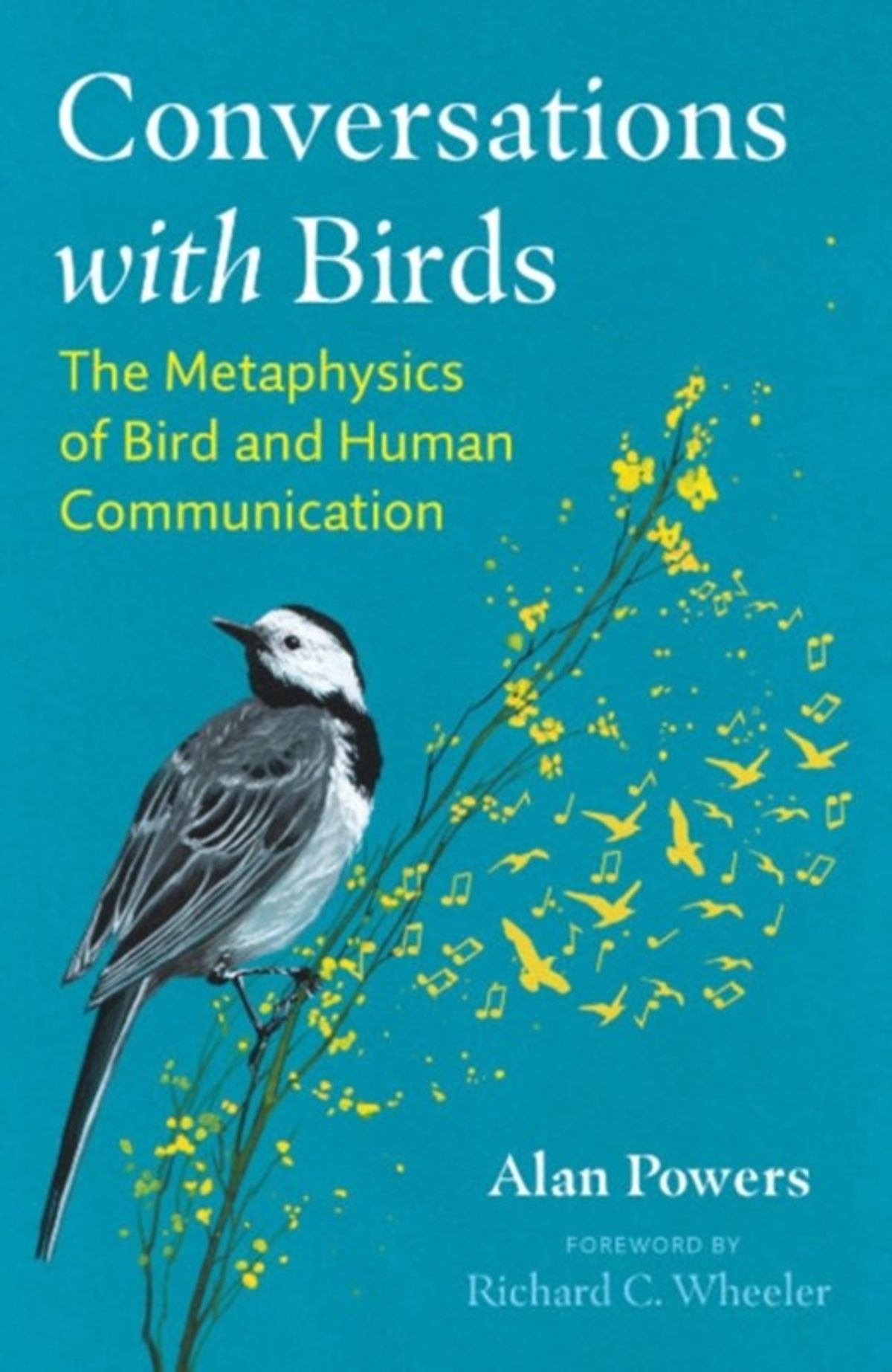 Conversations with Birds