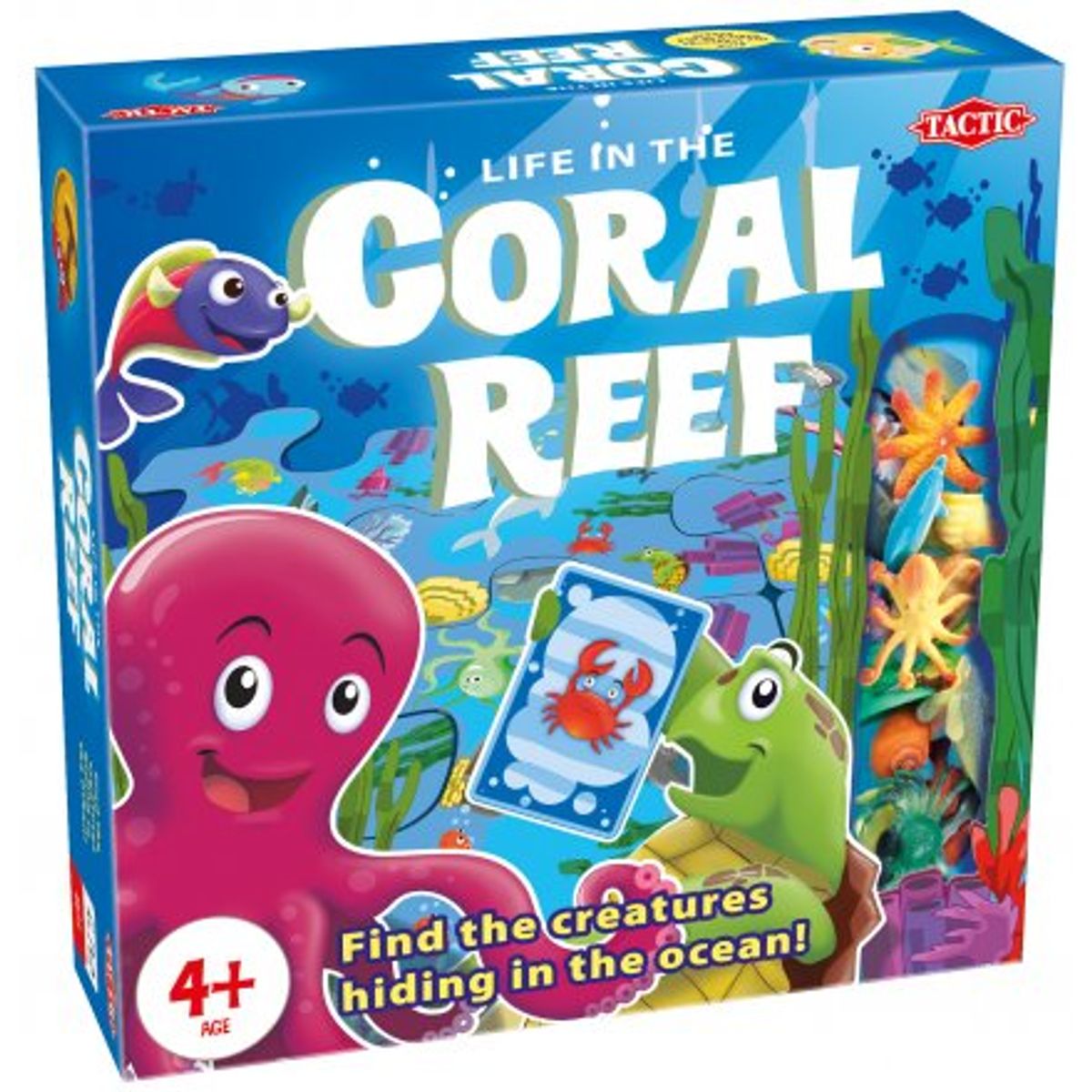 Coral Reef