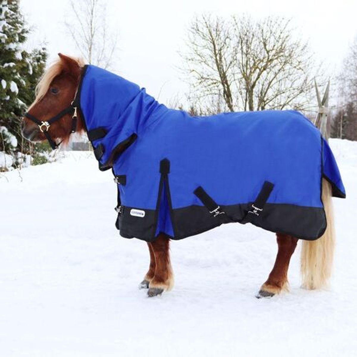 Coverme Pony dækken med hals - 100g - Blå, 105cm