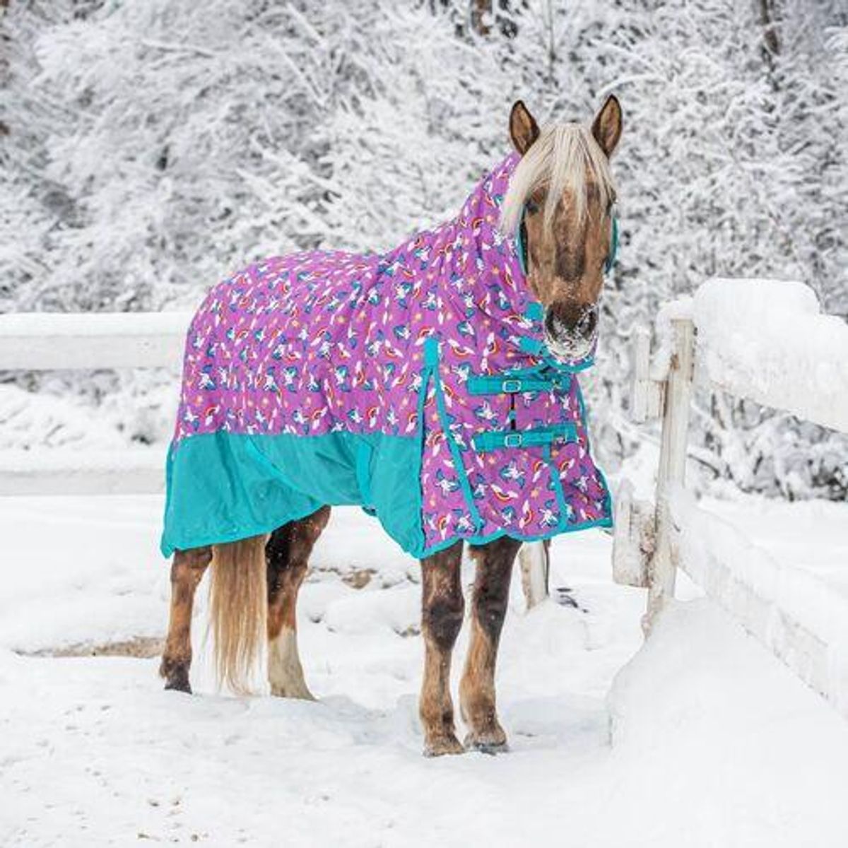 Coverme Unicorn pony dækken med hals - 150g - 115cm