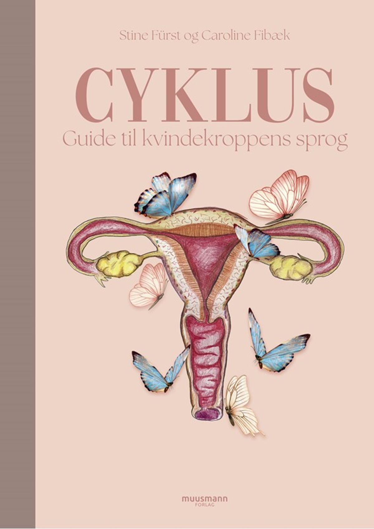 Cyklus