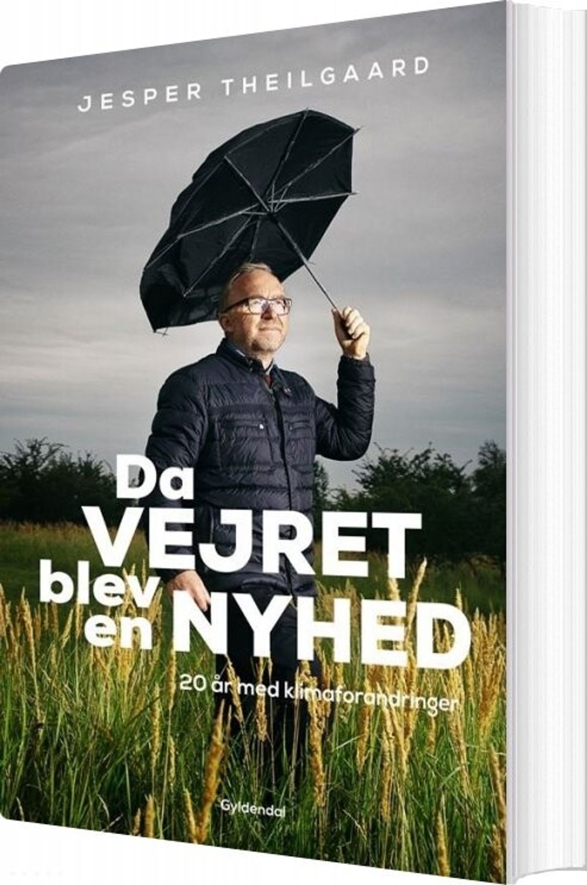 Da Vejret Blev En Nyhed - Jesper Theilgaard - Bog