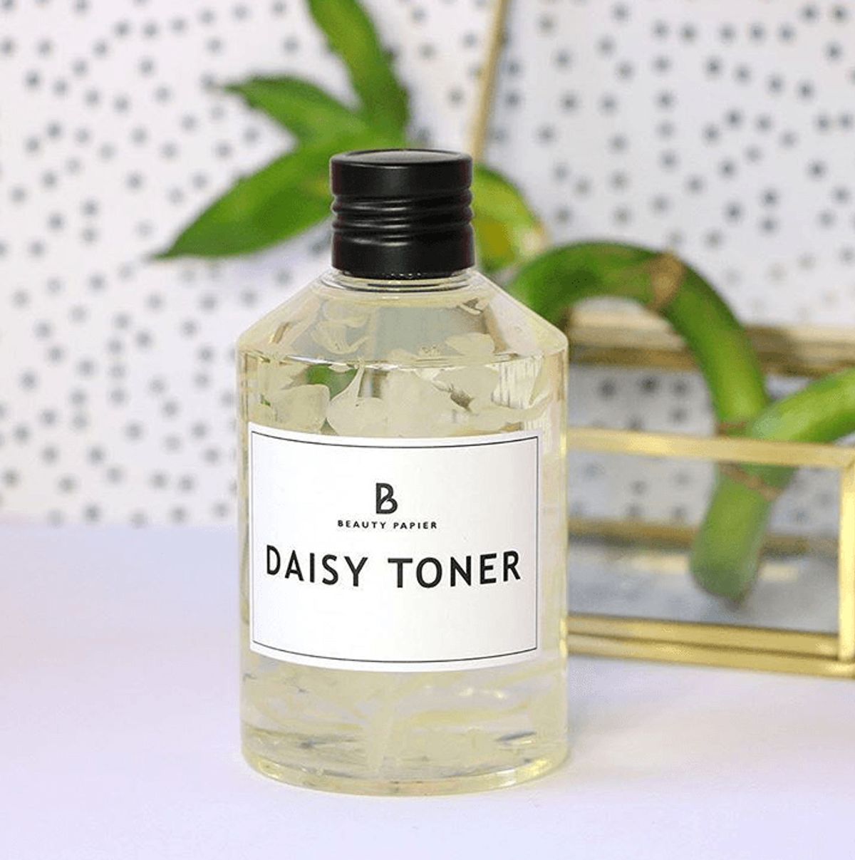 Daisy Toner