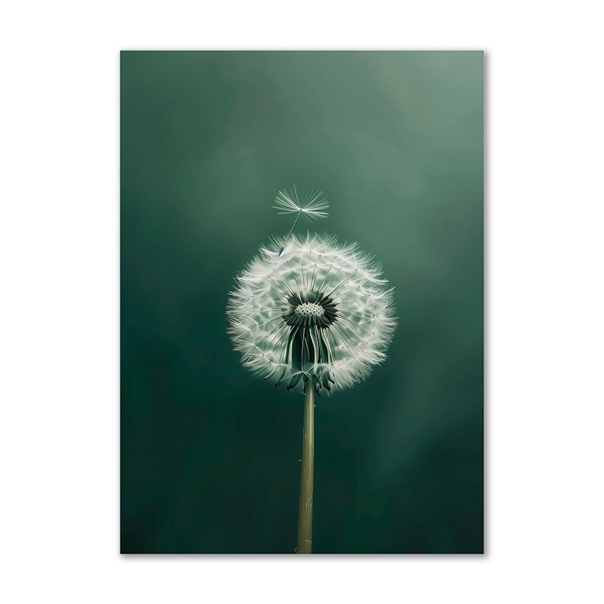 Dandelion Delight - 60x80 cm. - Ingen