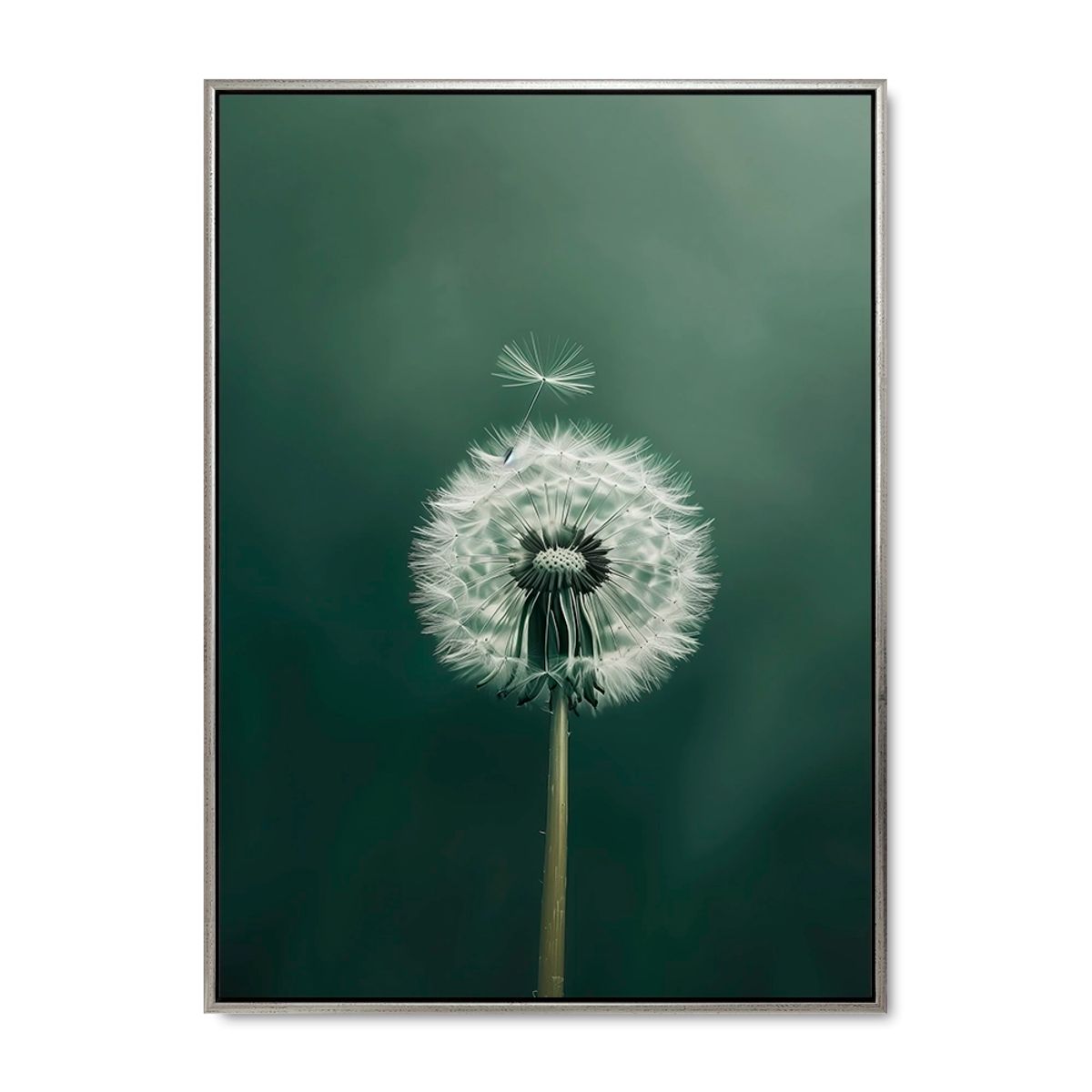 Dandelion Delight - 60x80 cm. - Sølv ramme